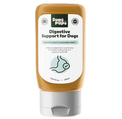 Digestive Support for Dogs, 290ml