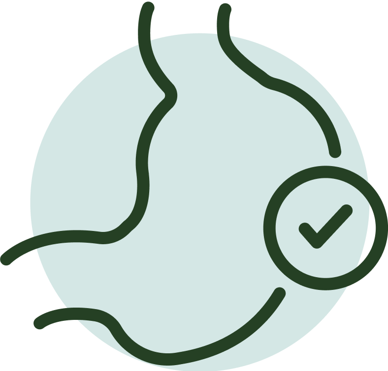 Digestive Support