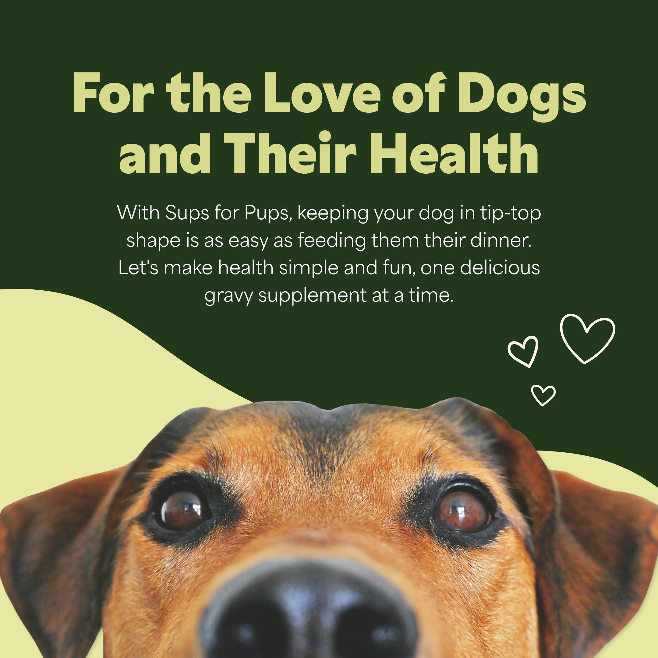 Digestive Support for Dogs, 290ml