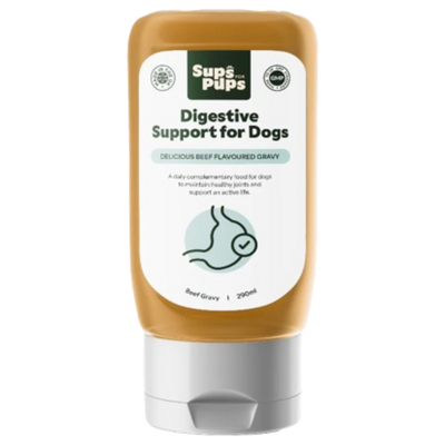 Digestive Support for Dogs, 290ml